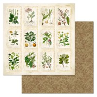 Бумага двусторонняя "Заповедник. Карточки", ScrapMania