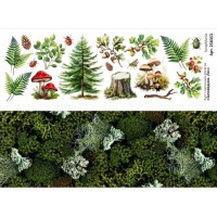 Лист с картинками 10*30 см "Заповедник. Лес", ScrapMania