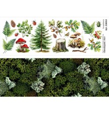Лист с картинками 10*30 см "Заповедник. Лес", ScrapMania