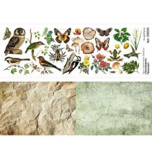 Лист с картинками 10*30 см "Заповедник. Природа", ScrapMania