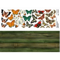 Лист с картинками 10*30 см "Заповедник. Бабочки", ScrapMania