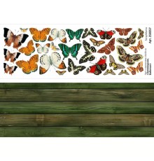 Лист с картинками 10*30 см "Заповедник. Бабочки", ScrapMania