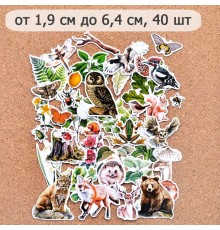 Набор высечек из бумаги "Заповедник 2", 40 шт., ScrapMania