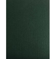 Картон текстурированный "Болотный", 30,5*30,5 см.
