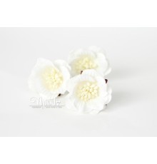 Цветок Сенполии "Белый", 1 шт.