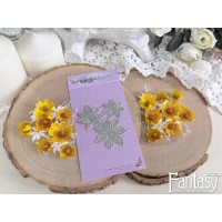 Нож для вырубки "Цветок вербейника" от Fantasy