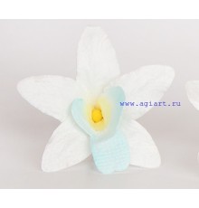 Орхидея белая с голубым, 1 шт