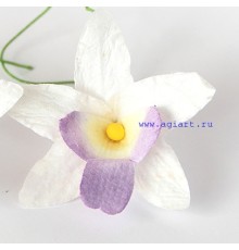 Орхидея белая с сиреневым, 1 шт