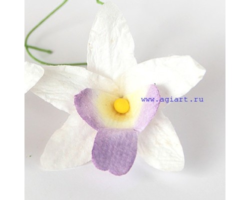 Орхидея белая с сиреневым, 1 шт