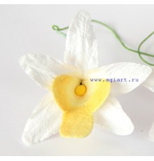 Орхидея белая с желтым, 1 шт