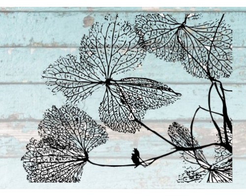 Штамп "Скелетированные листья", от Креатив Штамп
