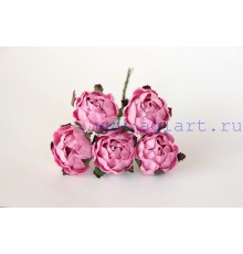 Ранункулюс (крупная роза) розовая 4 см. 1 шт