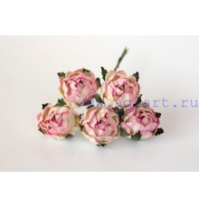 Ранункулюс (крупная роза) розовая с молочным 4 см. 1 шт