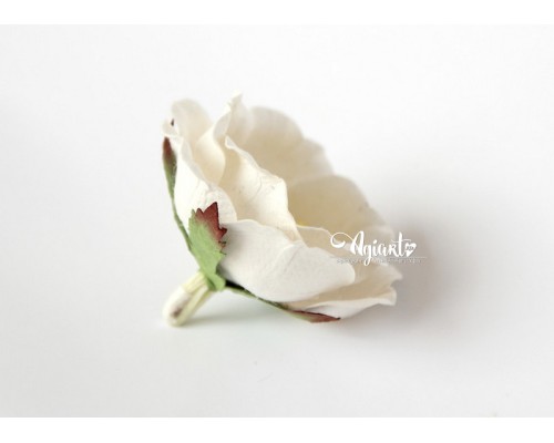 Полиантовые розы "Белый", 1 шт.