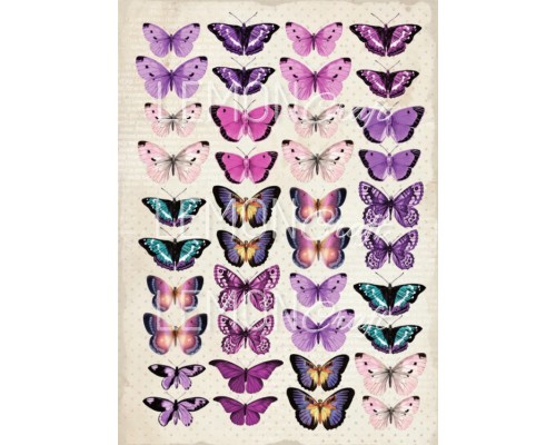 Бумага односторонняя Violet Silence "Vintage time 016" А4, Lemon craft