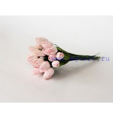 Тюльпаны "Светло-розовые", 5 штук