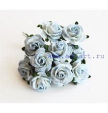 Розы Бело-голубые (двухтоновые) 2 см, 5 шт.