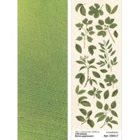 Лист с картинками 10х30 см "Ботаника. Ветки деревьев", ScrapMania