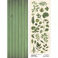 Лист с картинками 10х30 см "Ботаника. Дикие травы", ScrapMania