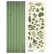 Лист с картинками 10х30 см "Ботаника. Дикие травы", ScrapMania