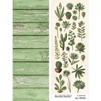 Лист с картинками 10х30 см "Ботаника. Кактусы", ScrapMania