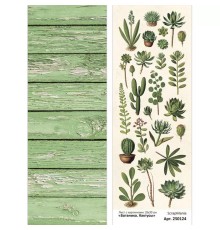 Лист с картинками 10х30 см "Ботаника. Кактусы", ScrapMania