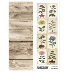 Лист с картинками 10х30 см "Ботаника. Карточки с цветами и бонсай", ScrapMania