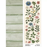 Лист с картинками 10х30 см "Ботаника. Дикие цветы", ScrapMania