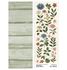 Лист с картинками 10х30 см "Ботаника. Дикие цветы", ScrapMania