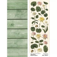 Лист с картинками 10х30 см "Ботаника. Водные цветы", ScrapMania