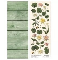 Лист с картинками 10х30 см "Ботаника. Водные цветы", ScrapMania