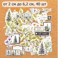 Набор высечек из бумаги "Голос природы", 40 шт., ScrapMania