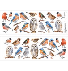 Лист с картинками 10х30 см "Снежные сказки. Птицы" (ScrapMania)