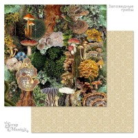 Бумага двусторонняя "Заповедные грибы. Атлас", ScrapMania