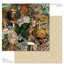 Бумага двусторонняя "Заповедные грибы. Атлас", ScrapMania