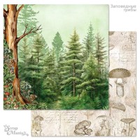 Бумага двусторонняя "Заповедные грибы. Зачарованный лес", ScrapMania