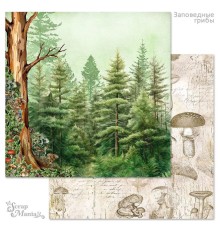 Бумага двусторонняя "Заповедные грибы. Зачарованный лес", ScrapMania