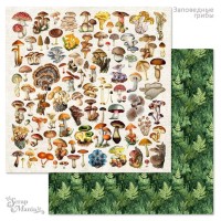 Бумага двусторонняя "Заповедные грибы. Детали", ScrapMania