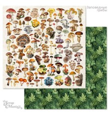 Бумага двусторонняя "Заповедные грибы. Детали", ScrapMania