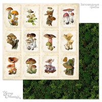 Бумага двусторонняя "Заповедные грибы. Карточки", ScrapMania