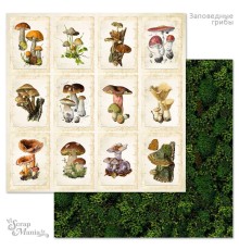 Бумага двусторонняя "Заповедные грибы. Карточки", ScrapMania