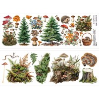 Лист с картинками 10х30 см "Заповедные грибы. Лес", ScrapMania