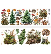 Лист с картинками 10х30 см "Заповедные грибы. Лес", ScrapMania