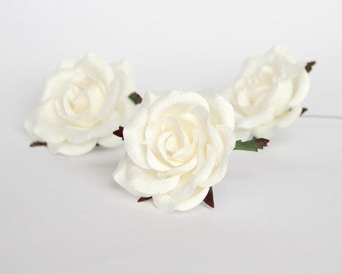 Коттеджные розы "Белые", 6 см., 1 шт.