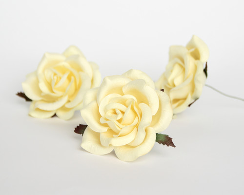 Коттеджные розы "Молочные", 6 см., 1 шт.