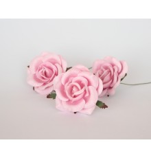 Коттеджные розы "Светло-розовые", 6 см., 1 шт.