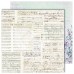 Набор бумаги "Flowers Symphony" 20.3*20.3 см., 12 листов, Dreamlight Studio