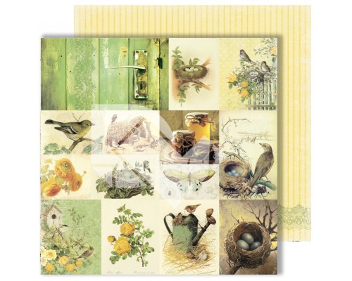 Бумага двусторонняя, коллекция "Spring Holidays" 30.5*30.5 см., Dreamlight Studio