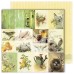 Набор бумаги "Spring Holidays" 30.5*30.5 см., 6 листов, 1/2 полного набора, Dreamlight Studio