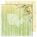 Набор бумаги "Spring Holidays" 20.3*20.3 см., 12 листов, Dreamlight Studio